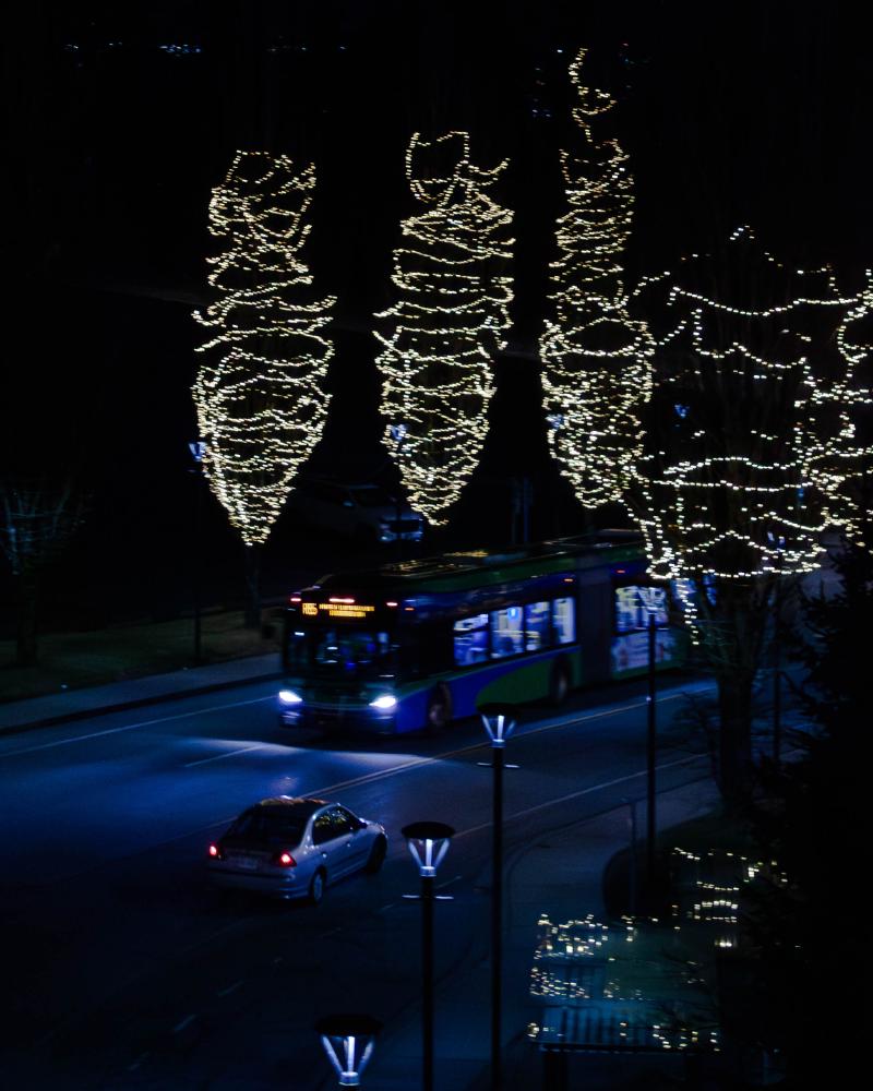 img14.jpg